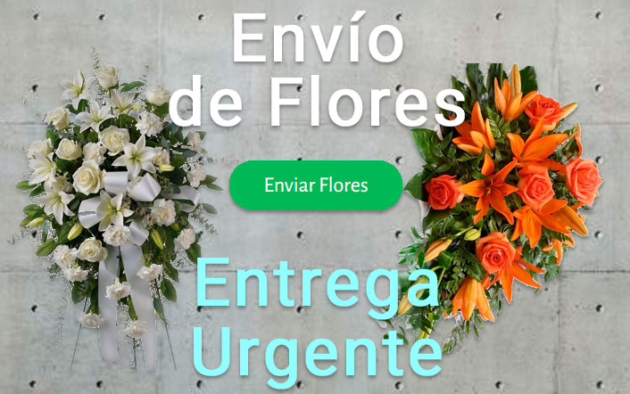 Envío de flores urgente a Tanatorio Castellón